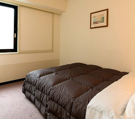 Nara Washington Hotel Plaza