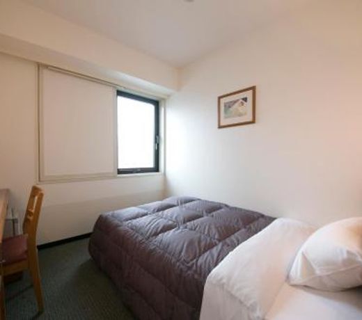 Nara Washington Hotel Plaza