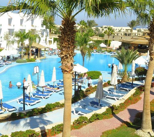 Ivy Cyrene Sharm Resort Adults Friendly Plus 13