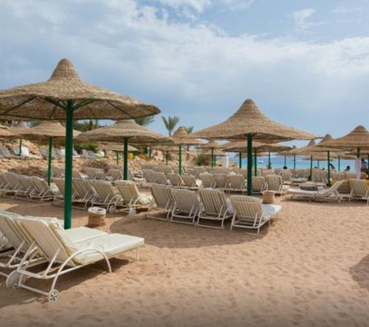 Oonas Dive Club