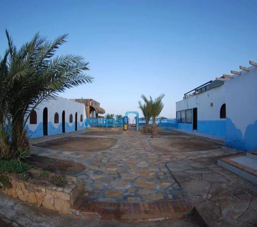 Dolphin Camp