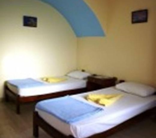 Dolphin Camp
