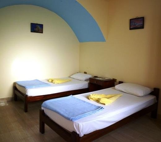 Dolphin Camp
