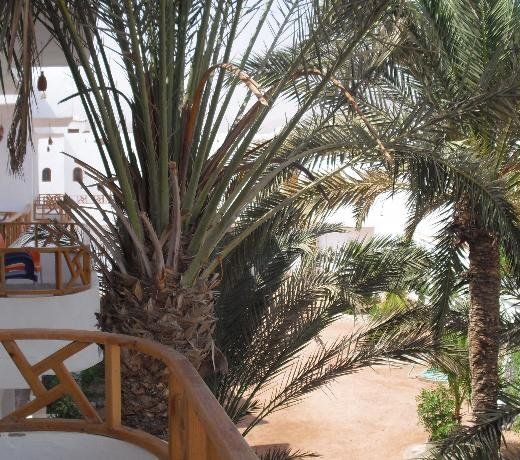 Happy Land Dahab
