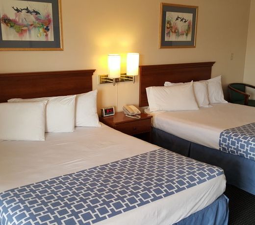 Flamingo Inn