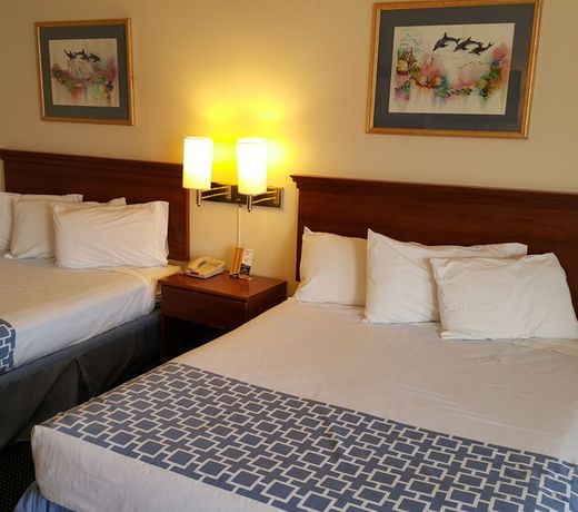 Flamingo Inn