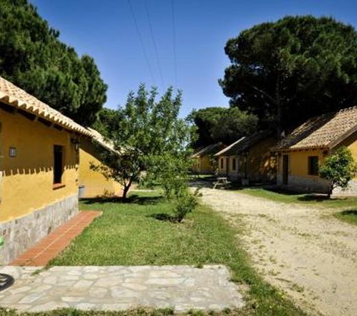 Camping Vejer