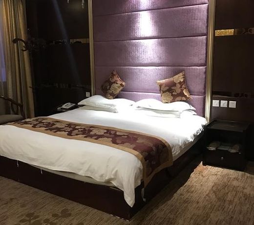 Metropolo Hotels(Potala Palace store, Lhasa)