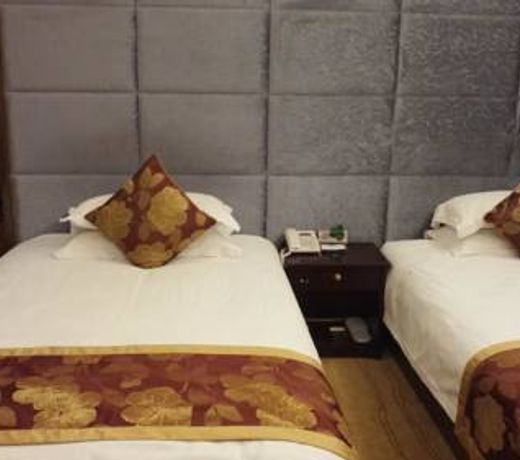 Metropolo Hotels(Potala Palace store, Lhasa)