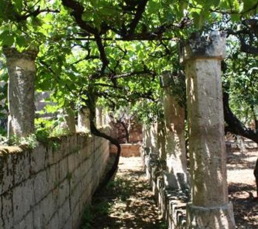 Masseria Maccarone