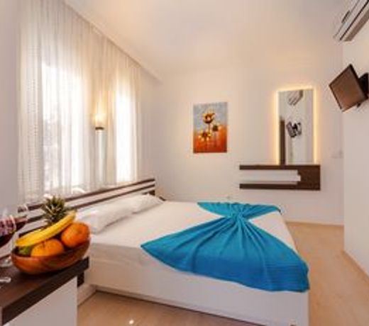 Hotel Puya