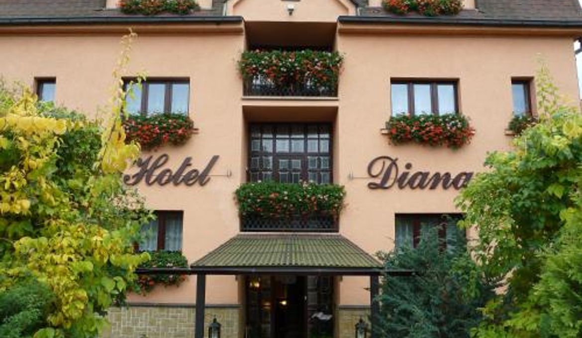 Hotel Diana by Kuchar Family