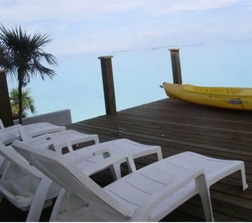 EXUMA DRIFTWOOD