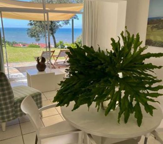 Albatross Guest House