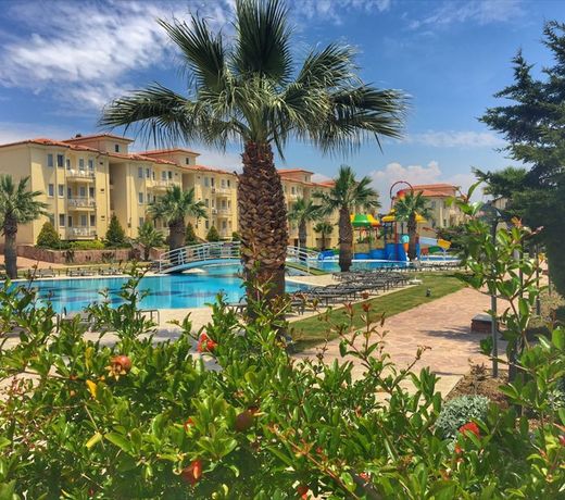 Sealight Family Club