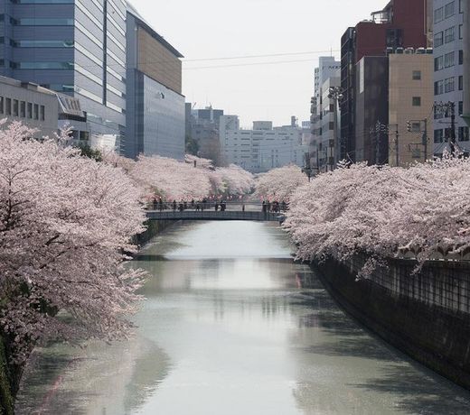 Hotel Mid In Meguro Ekimae