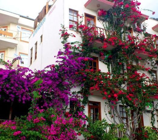 Aphrodite Pension