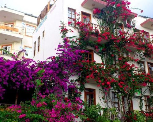 Aphrodite Pension - Каш - фото 5