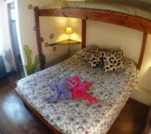 La Casa del Arbol - Hostel El BolsÃ³n
