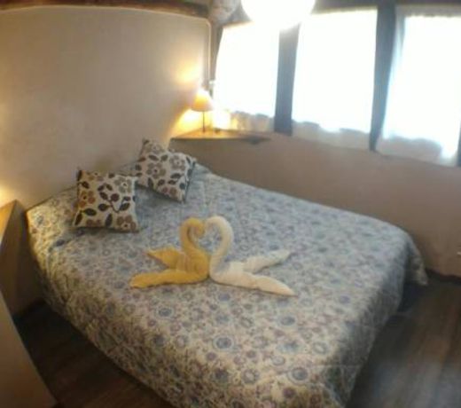 La Casa del Arbol - Hostel El BolsÃ³n