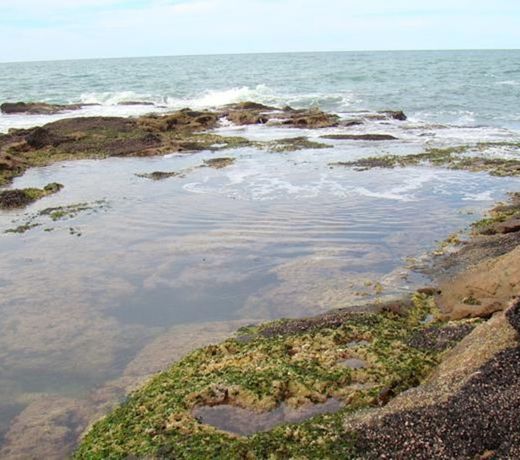 La Antonieta Estancia de Mar