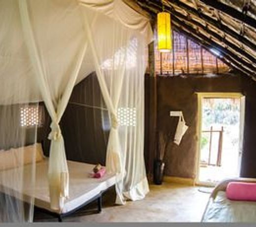 Banyan Tree Yoga