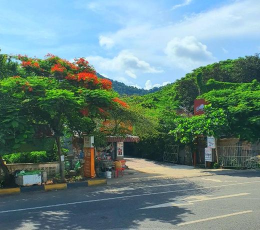 Visal Sak Guesthouse