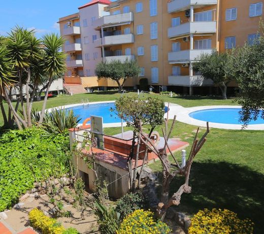 Sol Millet Litoral - ONLY FAMILIES
