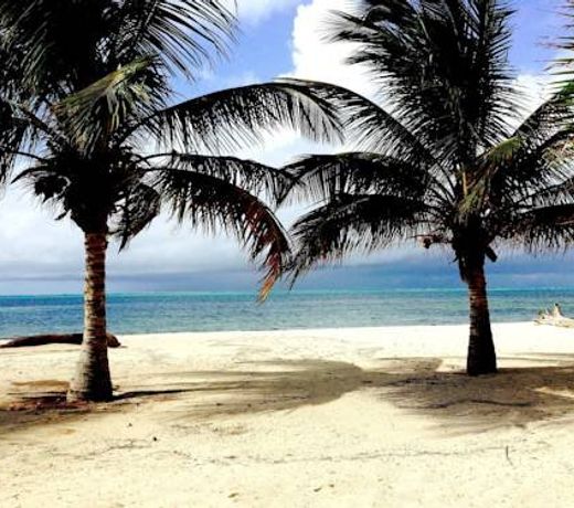 Life Resort St Thomas Royal Palm