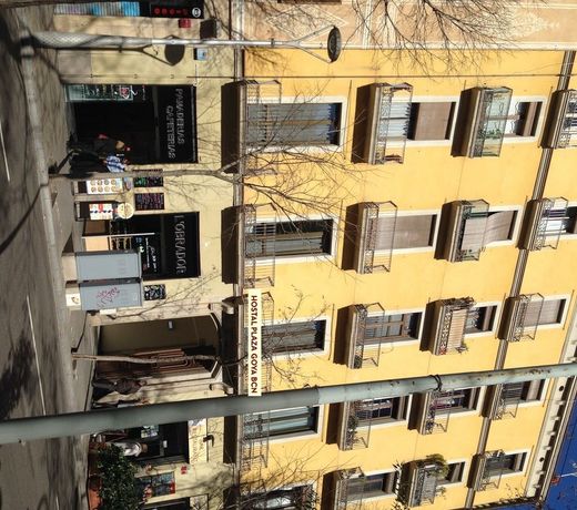 Plaza Goya Rooms