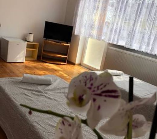 Pokoje GoÅcinne Wiola