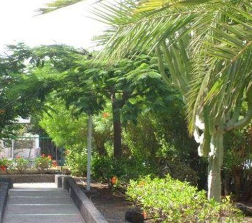 Aguycan Beach Apartamentos