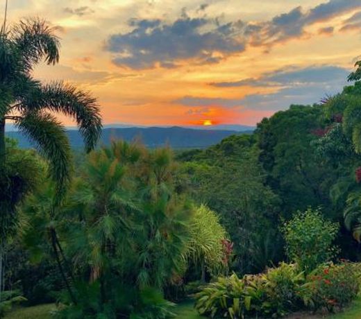 Daintree Manor B&B