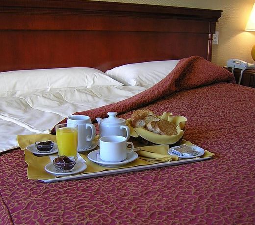 Austral Plaza Hotel
