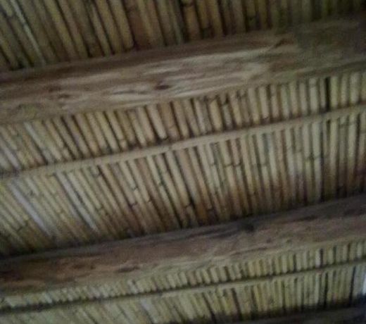 CABAÃAS LA LUCRECIA
