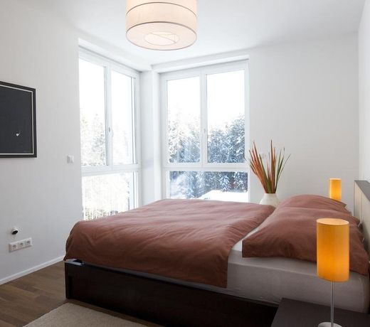 MOUNTAIN LODGE RAMSAU