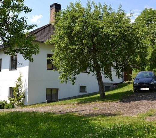 Auf der Kuhweide