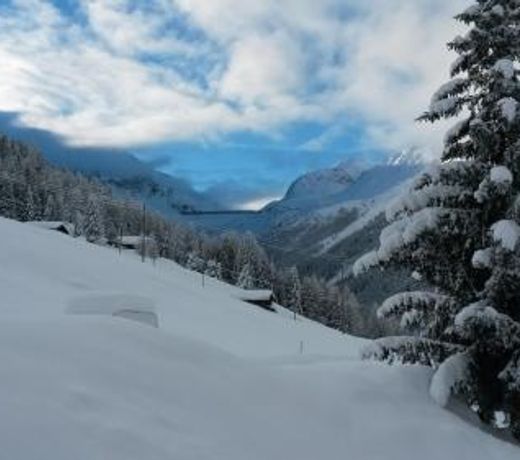 Chalet Edelweiss