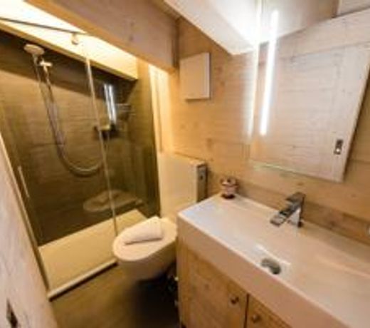 Nendaz 4 Vallees Appartements
