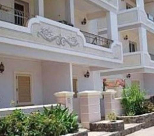 Oasis Palmeira