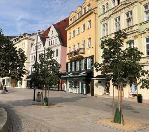 Apartman Orchidej u VÅÃ­dla