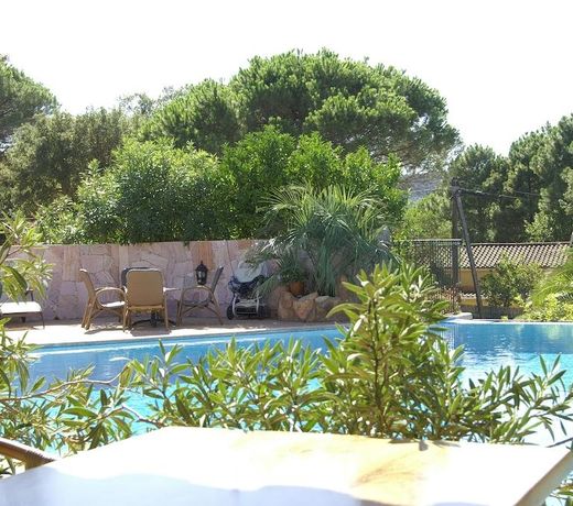 HÃ´tel Palombaggia
