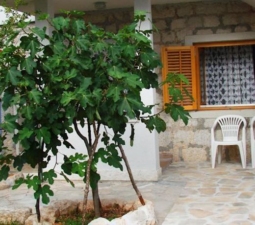Guest House DobriÅ¡a