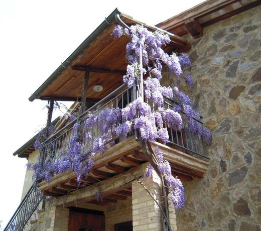 Casa Vacanze Porta Vecchia