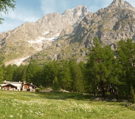 Chalet Berlot