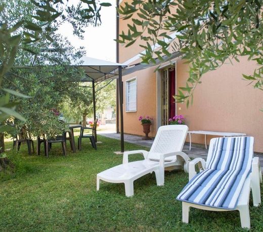 Nel Giardino Degli Ulivi