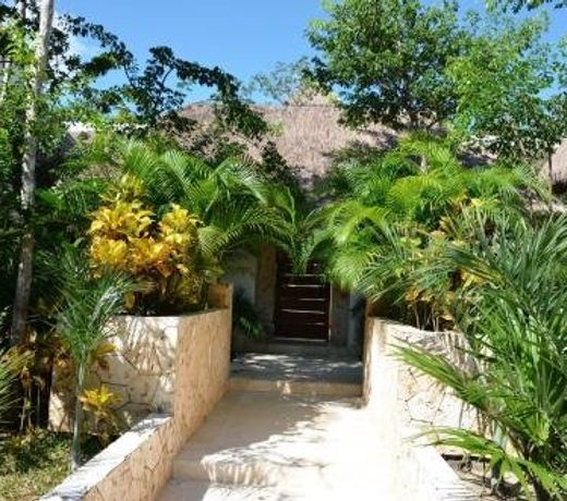 Stay in Tulum!