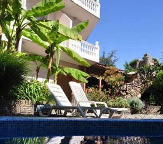 Viva Victoria Guest House