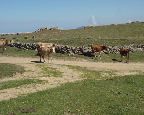 Birlik Yaylakent - Узунгёль - фото 4