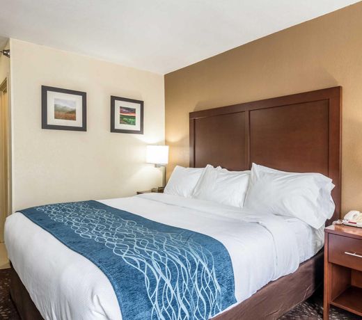 Comfort Inn & Suites - Hannibal